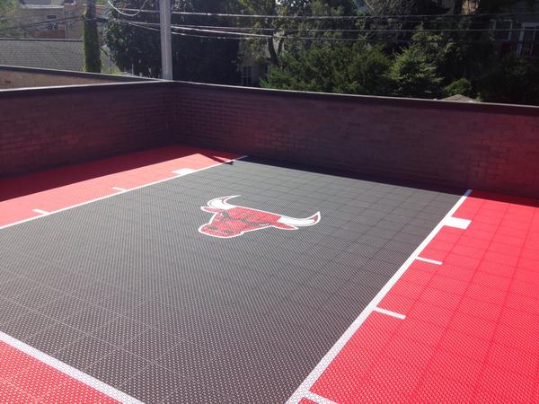 Rooftop Bulls