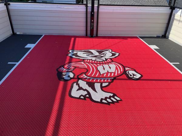 Bucky the Badger Rooftop 1